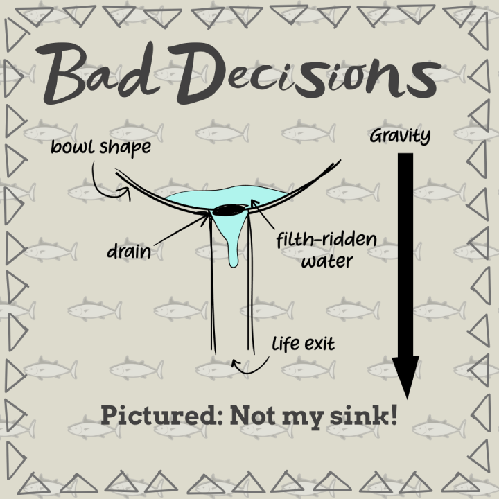 I have a Stupid&nbsp;Sink